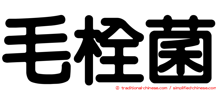 毛栓菌