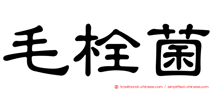 毛栓菌