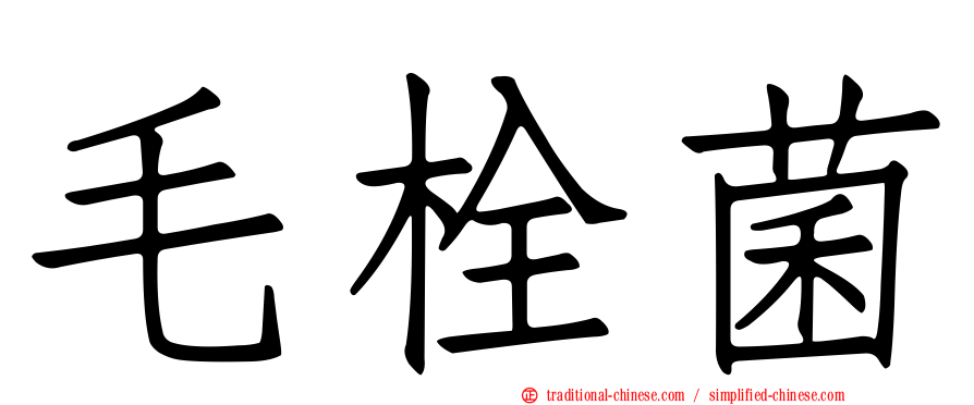 毛栓菌