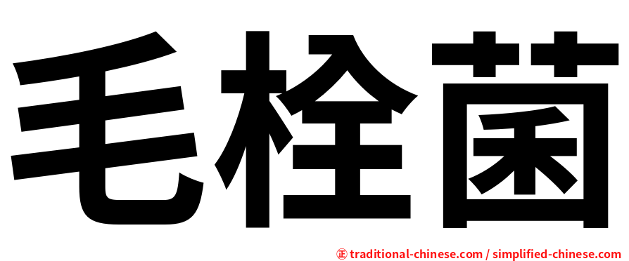 毛栓菌