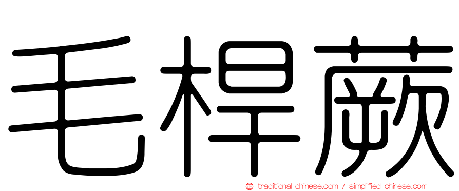 毛桿蕨