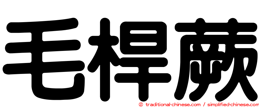 毛桿蕨