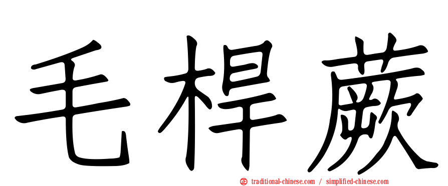 毛桿蕨