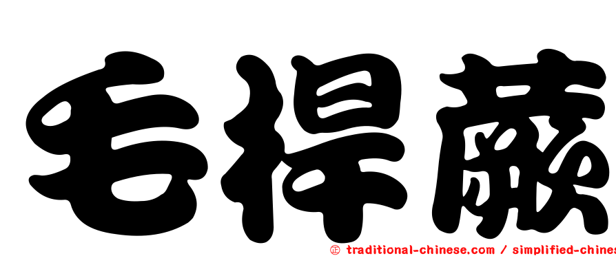 毛桿蕨