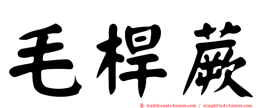 毛桿蕨