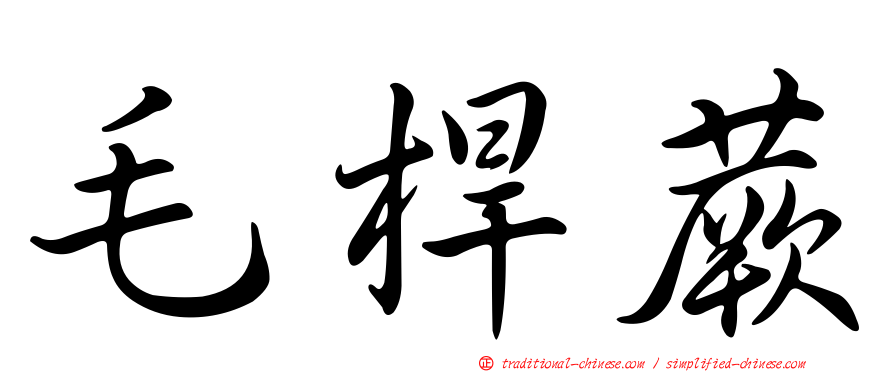 毛桿蕨