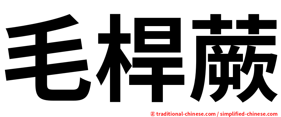 毛桿蕨
