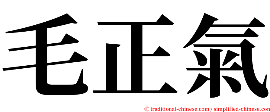 毛正氣 serif font