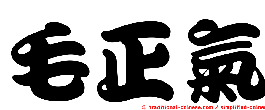 毛正氣