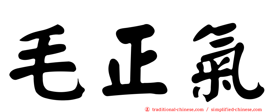毛正氣