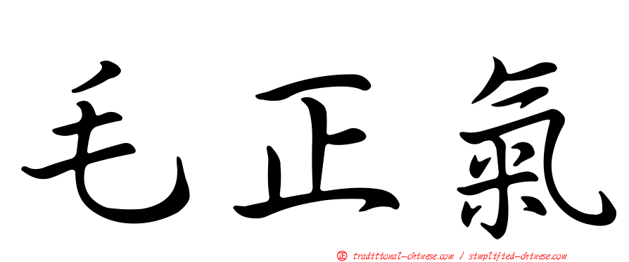 毛正氣