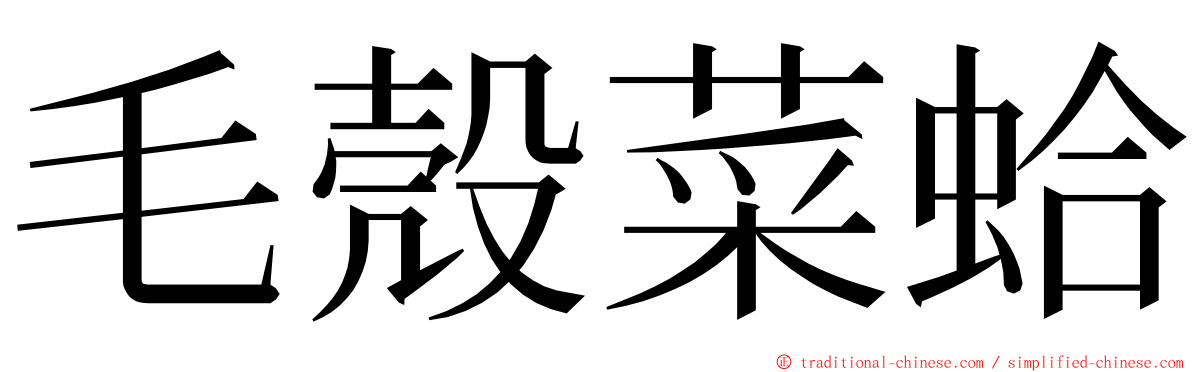 毛殼菜蛤 ming font