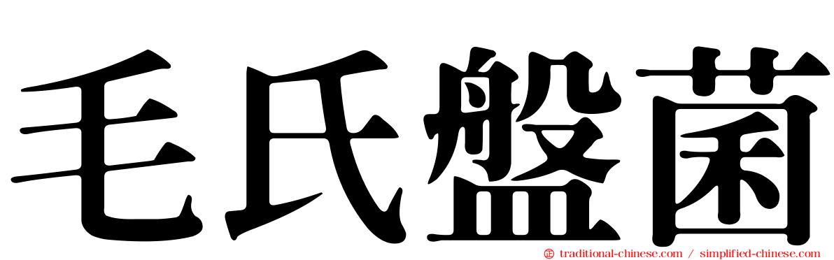 毛氏盤菌