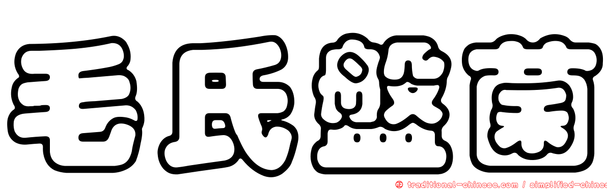 毛氏盤菌