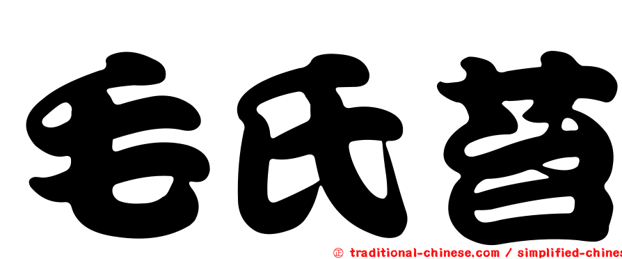 毛氏苔