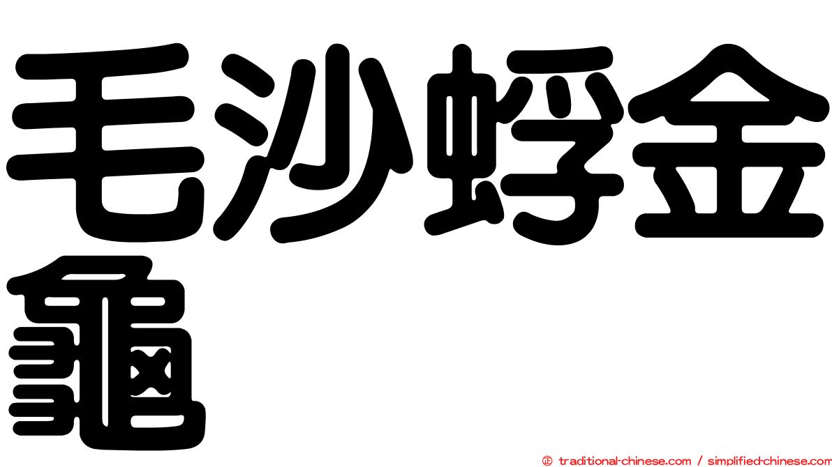 毛沙蜉金龜