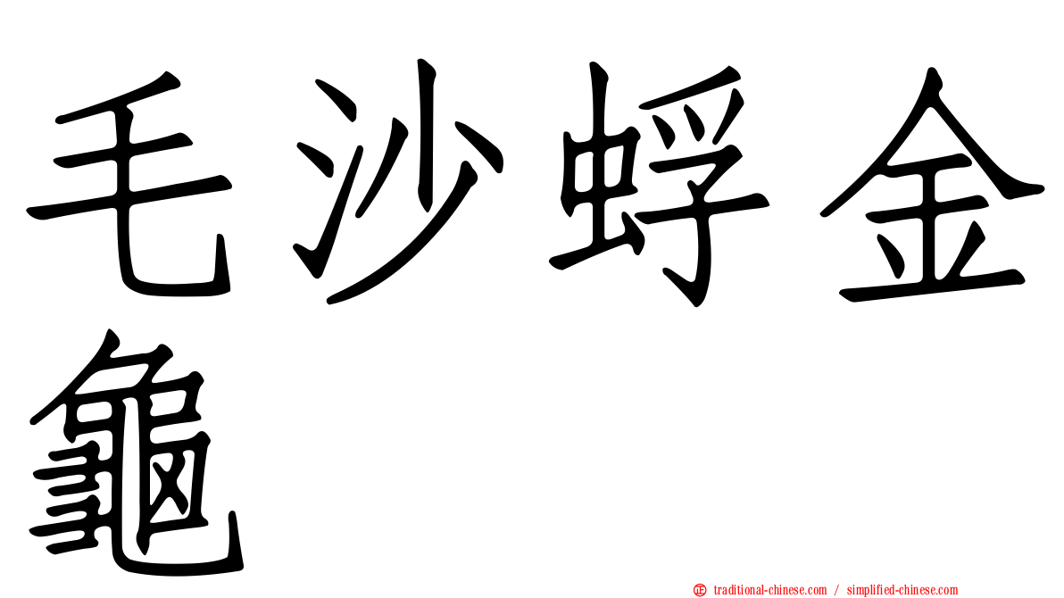 毛沙蜉金龜