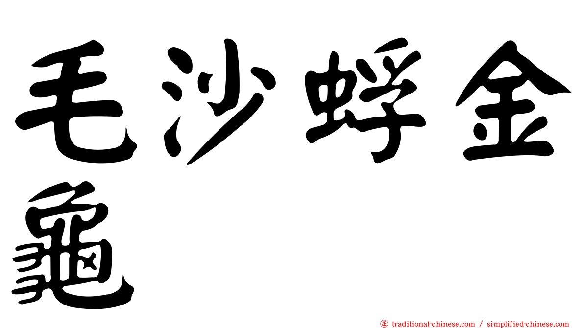 毛沙蜉金龜