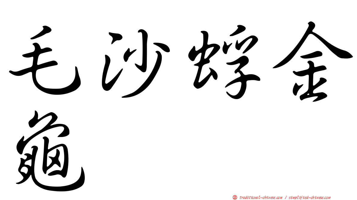 毛沙蜉金龜
