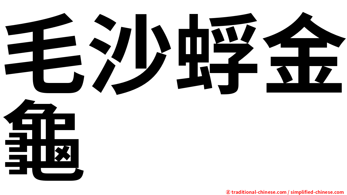 毛沙蜉金龜