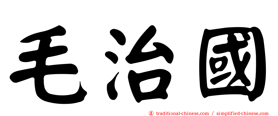 毛治國