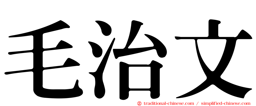 毛治文