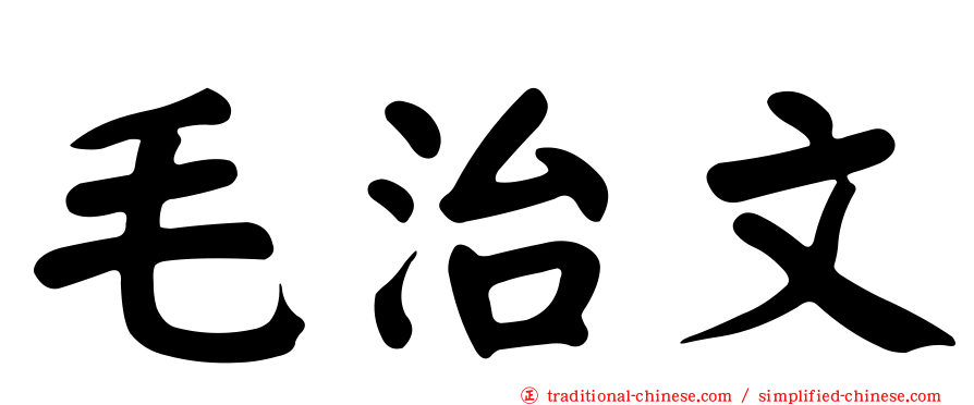 毛治文