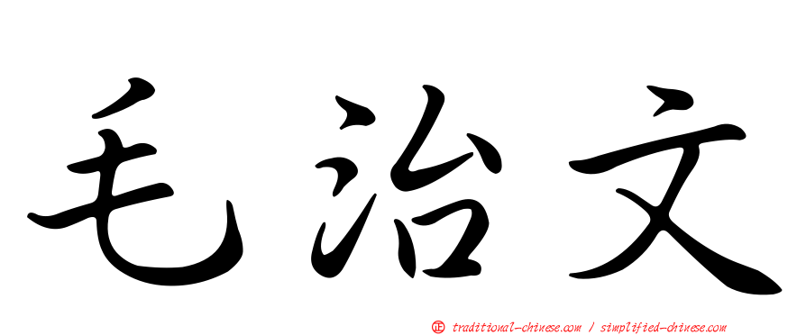 毛治文