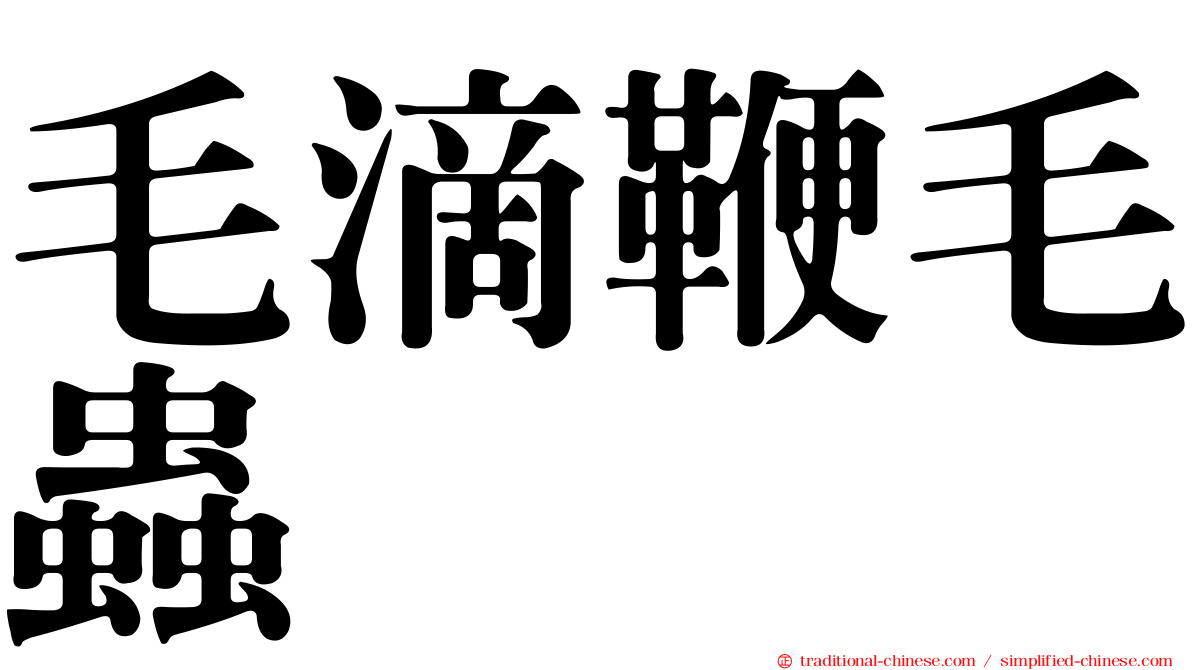 毛滴鞭毛蟲
