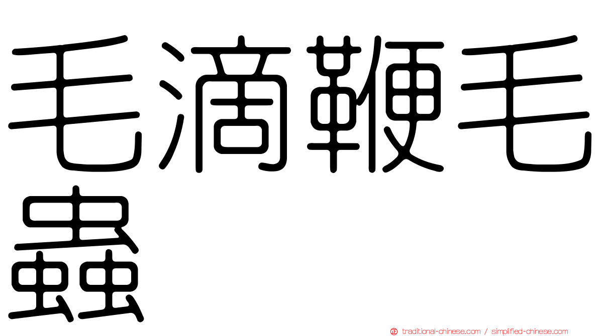 毛滴鞭毛蟲