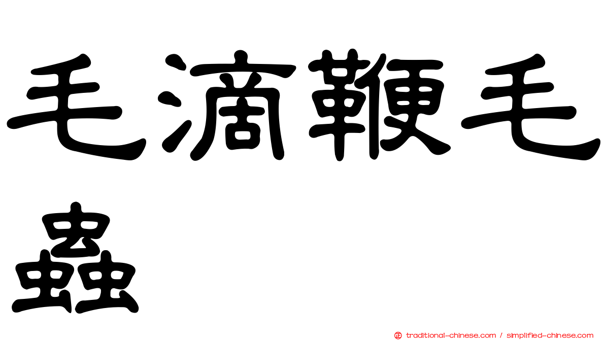 毛滴鞭毛蟲