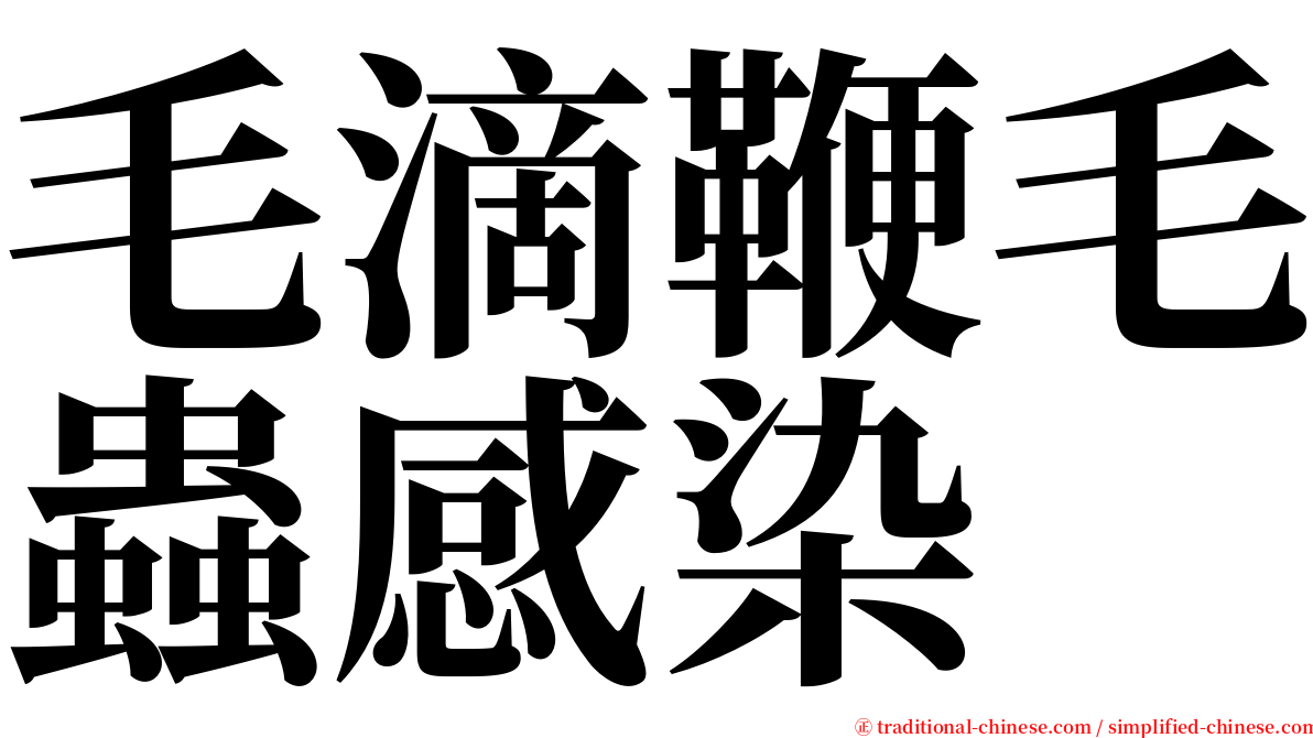 毛滴鞭毛蟲感染 serif font