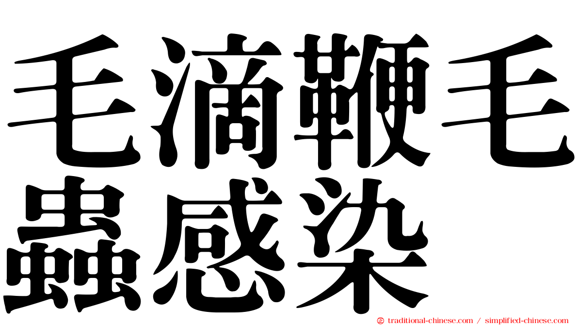 毛滴鞭毛蟲感染