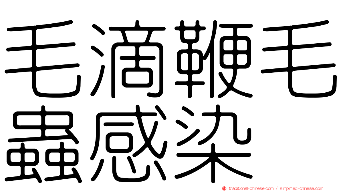 毛滴鞭毛蟲感染