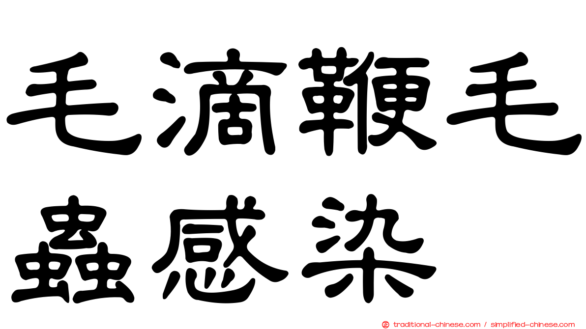 毛滴鞭毛蟲感染
