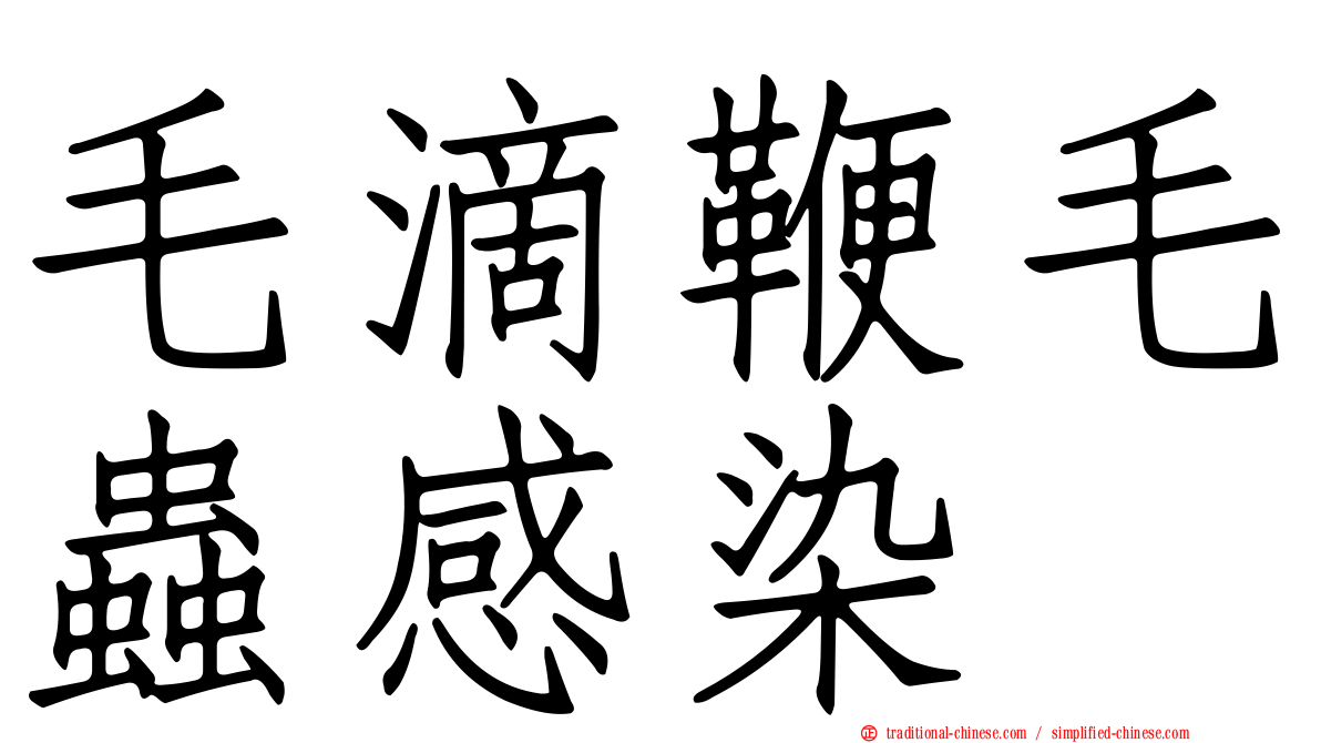 毛滴鞭毛蟲感染