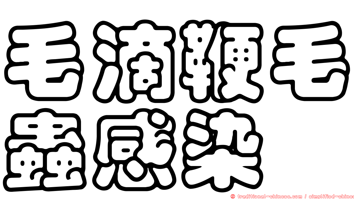 毛滴鞭毛蟲感染