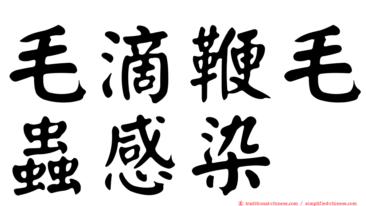 毛滴鞭毛蟲感染