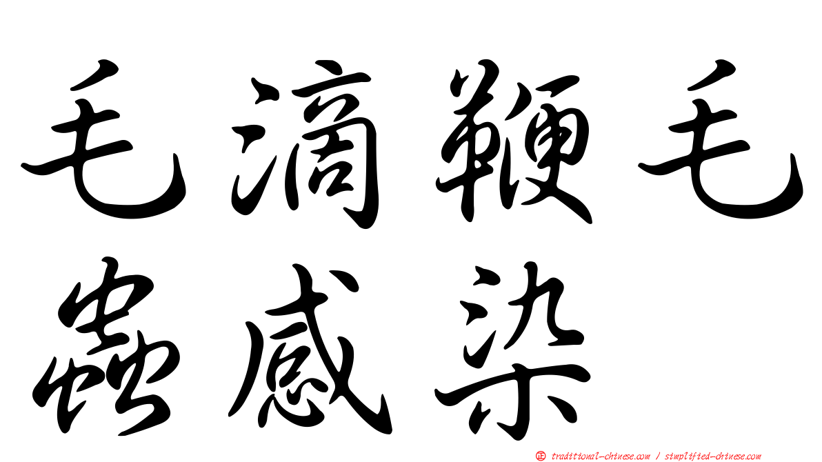 毛滴鞭毛蟲感染