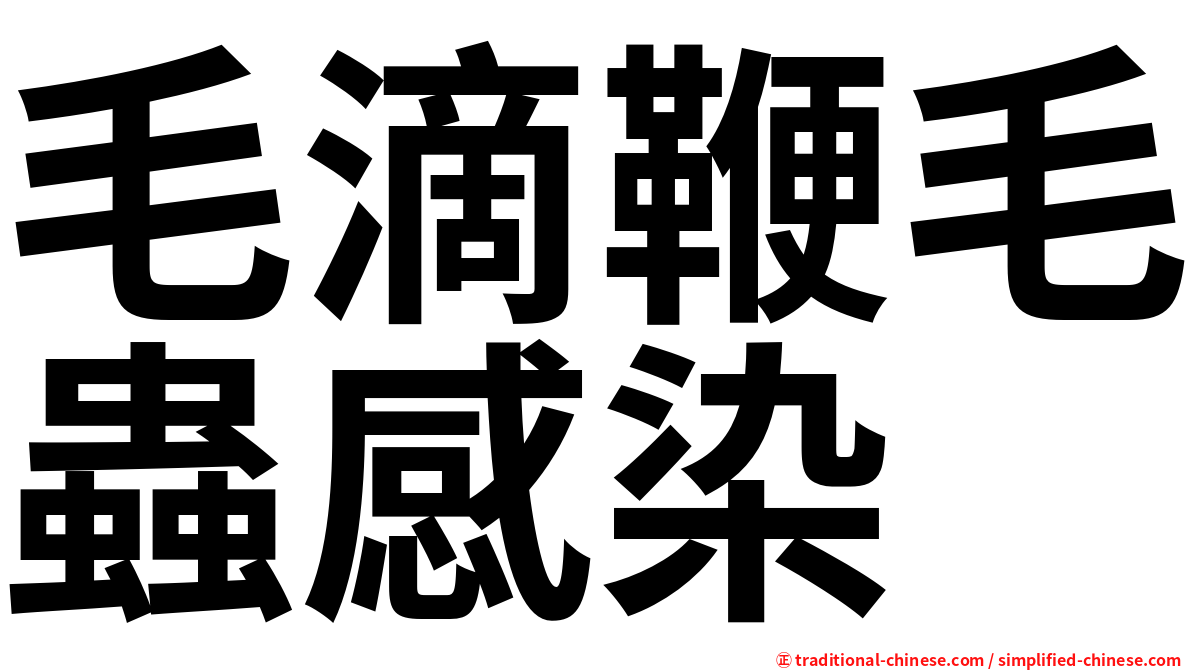 毛滴鞭毛蟲感染