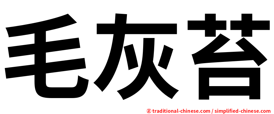 毛灰苔