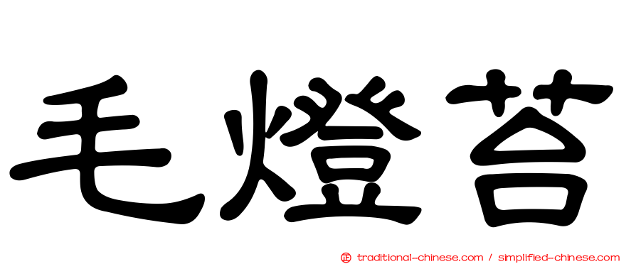毛燈苔