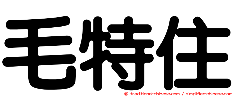 毛特住