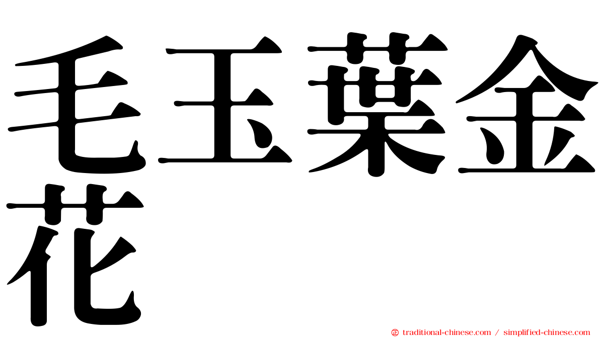 毛玉葉金花
