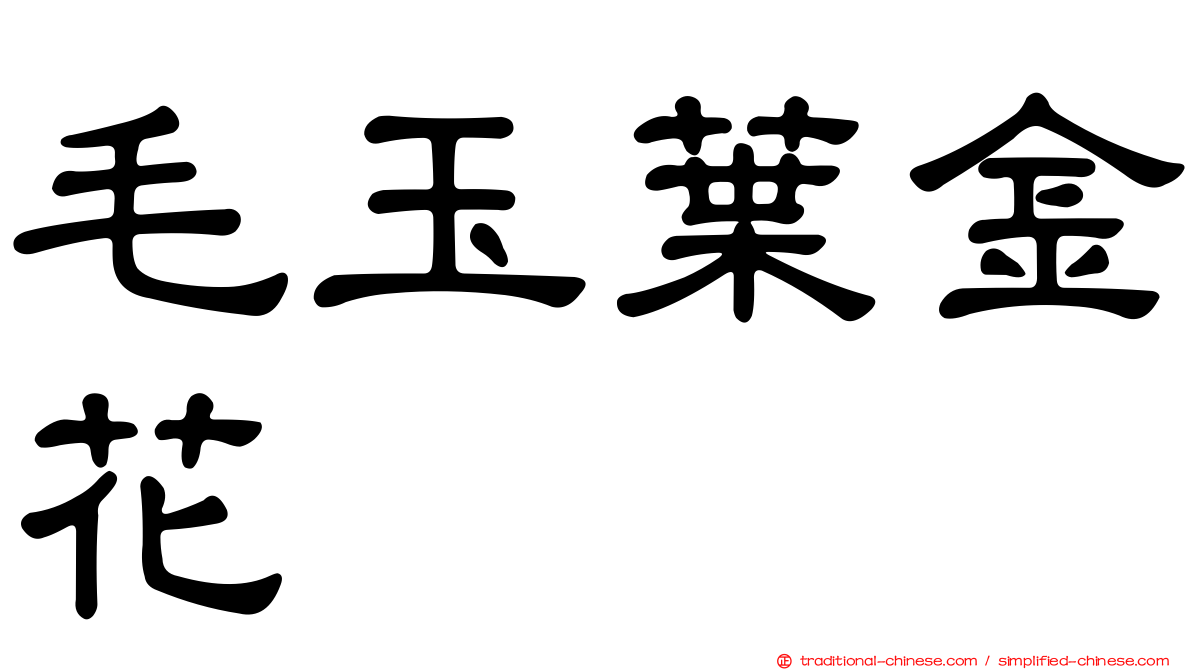 毛玉葉金花