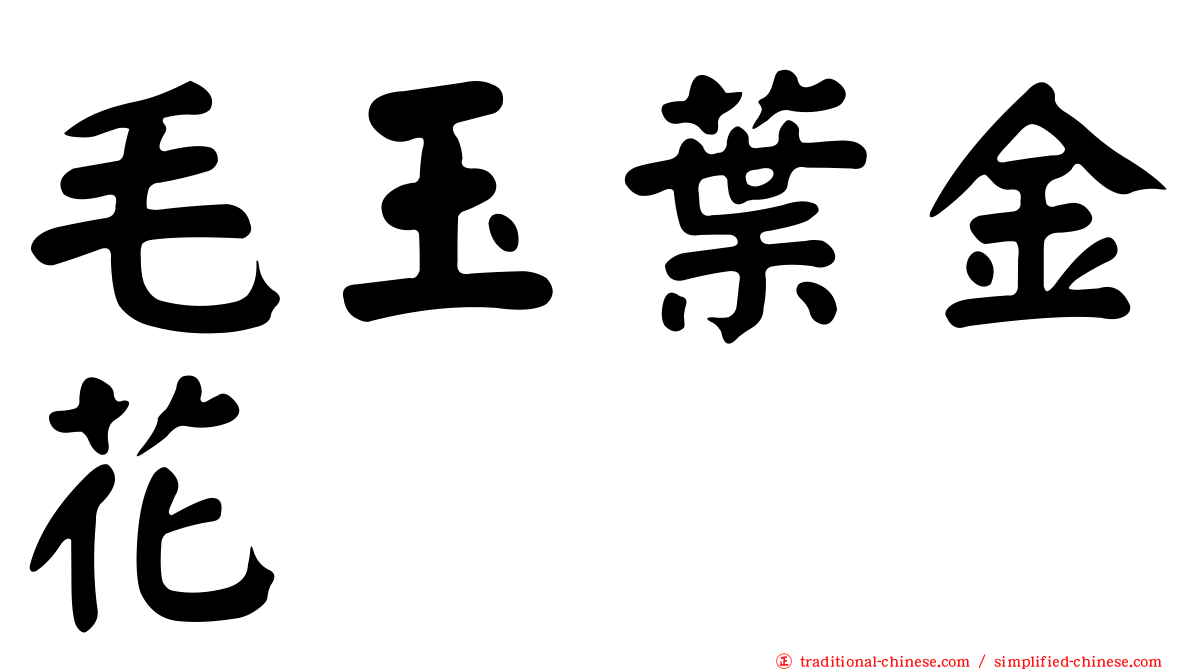 毛玉葉金花