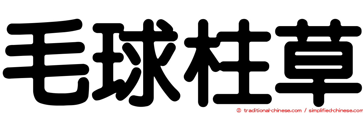 毛球柱草