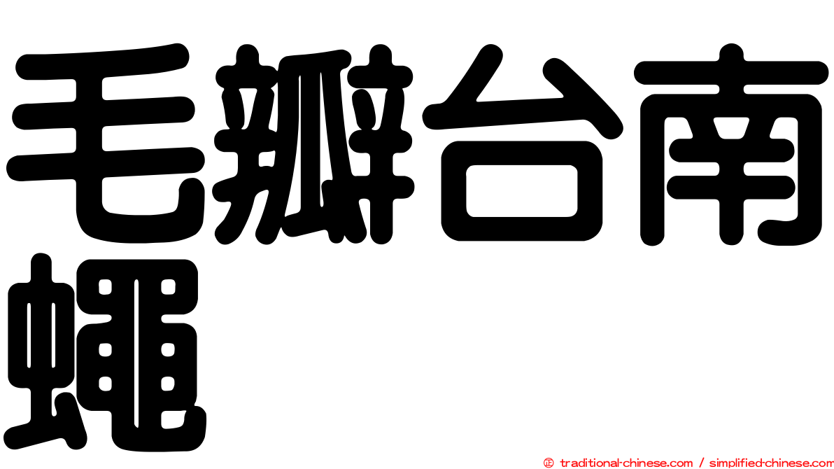 毛瓣台南蠅