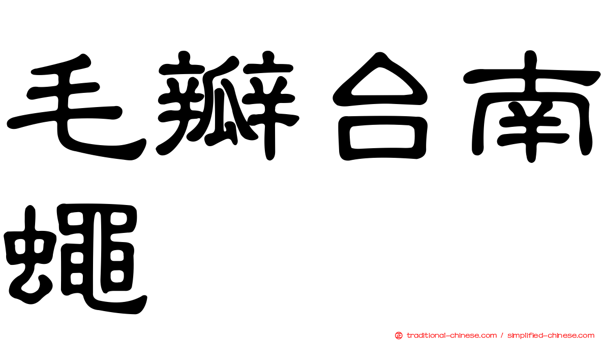 毛瓣台南蠅