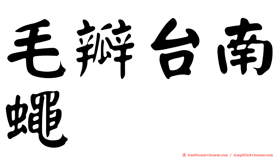 毛瓣台南蠅